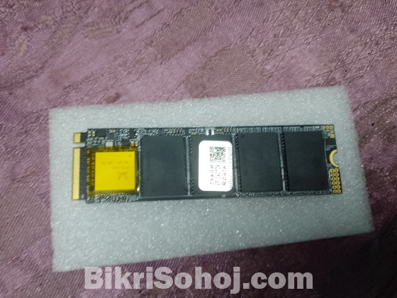 256 GB M.2 NVME